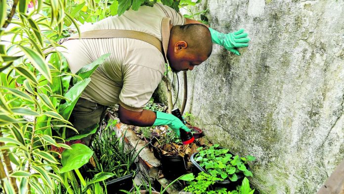 Dengue e chikungunya sobem no Brasil e não atingem o Pará