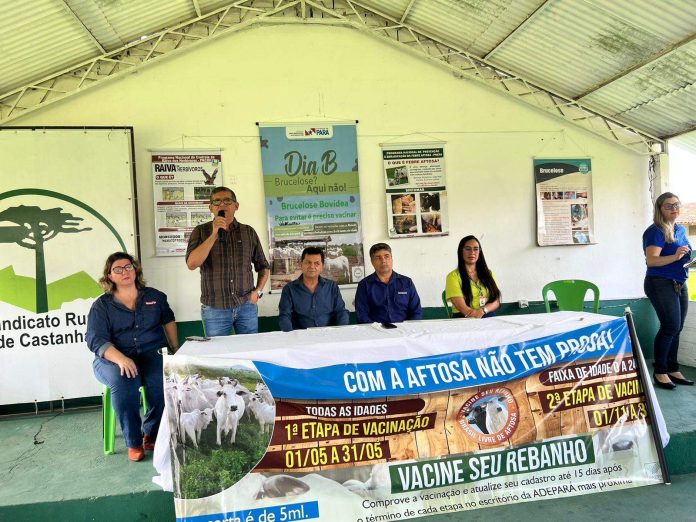 Campanha de vacinação contra a febre aftosa inicia em Castanhal e em mais 19 município da região