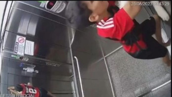 Vídeo: Menino de 11 anos salva cachorra de enforcamento