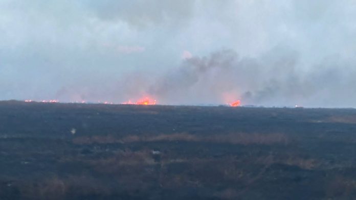 Queimadas irregulares tomam conta do Marajó. Veja o vídeo!