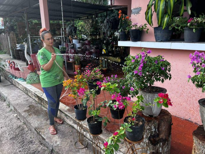 Calor fora do normal assusta o castanhalense