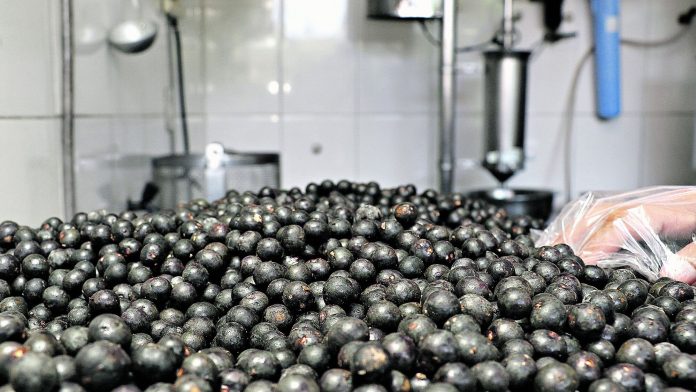 MP cobra rigor na fiscalização de venda de açaí em Belém